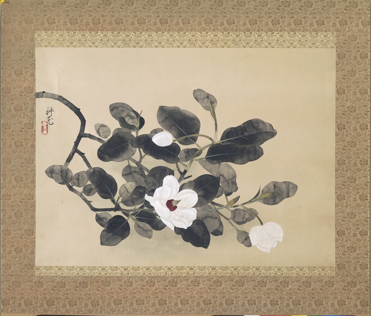 卷轴画与玉兰花枝 作者 山村古柯