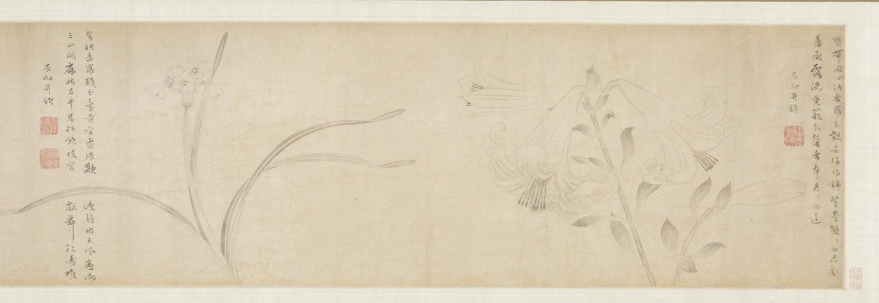墨花，1361。 作者 赵忠
