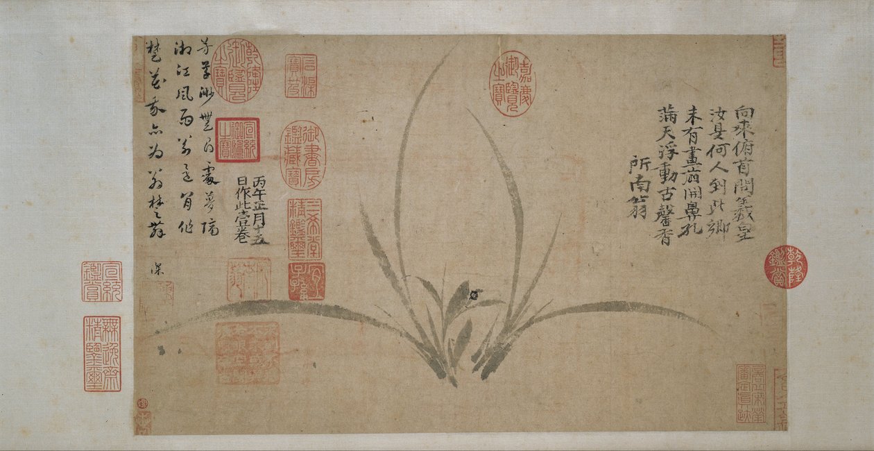 兰花 作者 郑四小
