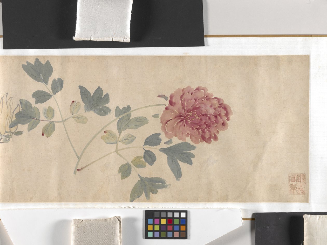 彩色花朵 作者 周志勉