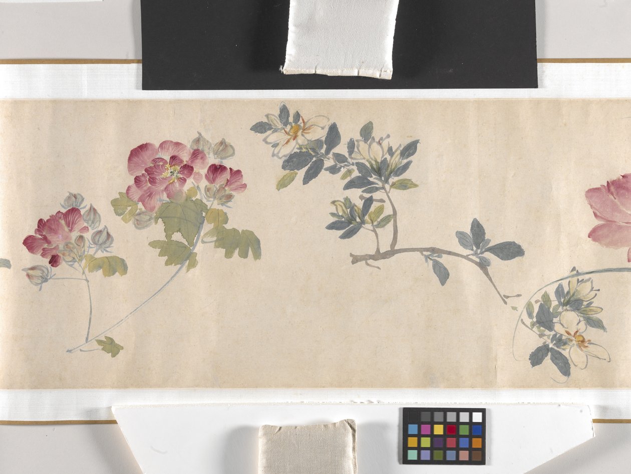 彩色花朵 作者 周志勉