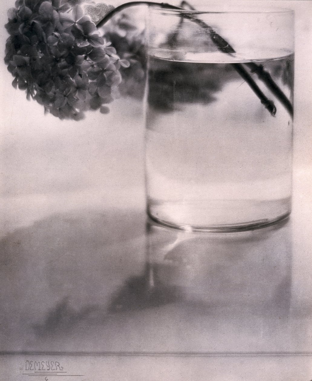 绣球花，约1907年 作者 理查德（后）爸爸