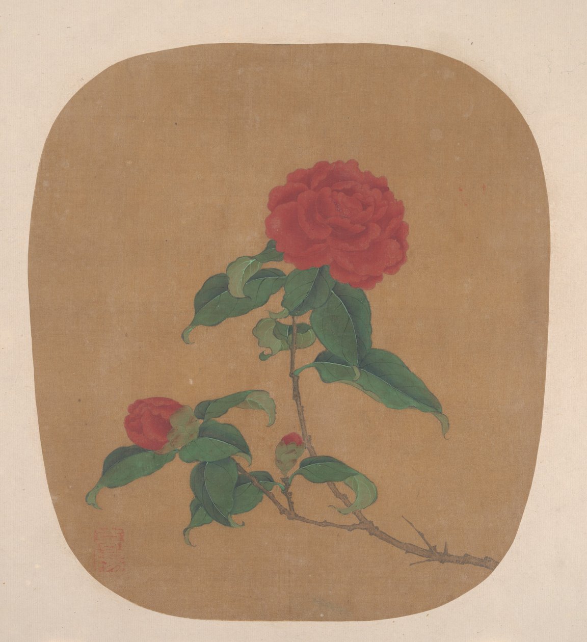 山茶花 作者 匿名的