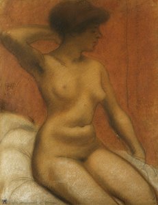 裸体坐姿Nu Assis