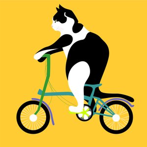 在Brompton自行车的猫