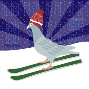 滑雪鸽