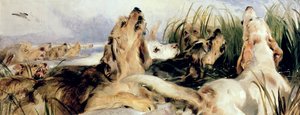 水獭猎犬
