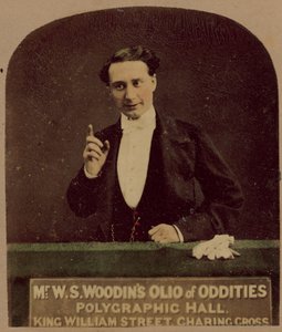 Oddities的WS Woodins Olio先生