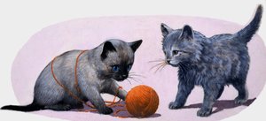 小猫玩羊毛球