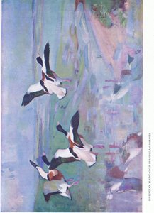 Sheld Duck飞越Dersingham沼泽