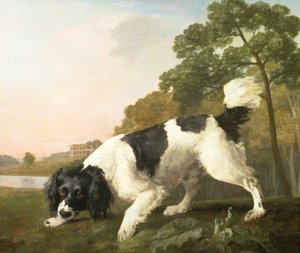 1771年的景观中的西班牙猎犬