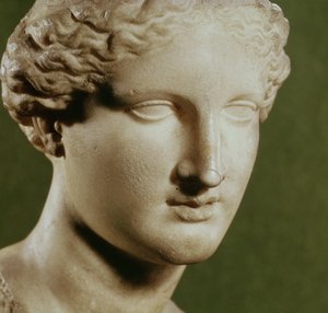 Artemis（大理石）的负责人