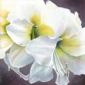 纯潜力，2016，