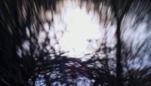 水上挂毯III，2017，（操纵摄影）