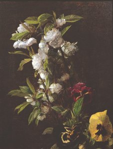 鲜花，1876年