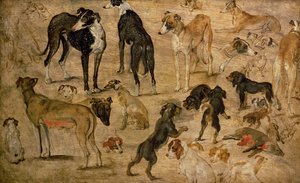 猎犬研究，1616