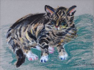 虎斑猫，2005年（粉彩）