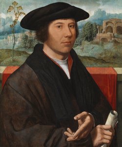一个男人的肖像，1528-29