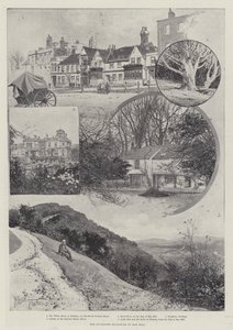Box Hill的建议封闭