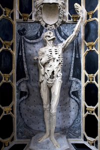 Flayed，或The Skeleton