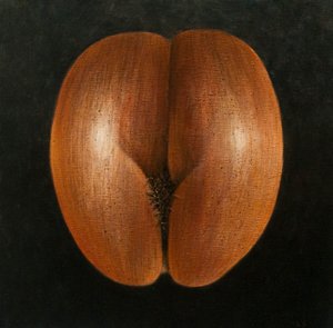 Coco de Mer，2010（画布上的丙烯酸）