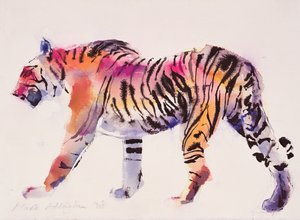 Stripey（墨水和纸张上的wc）