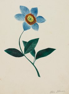 星花。