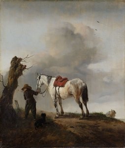 灰马，c.1646