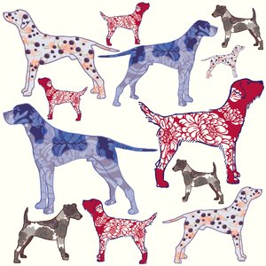 Topdogs，2005（数字化）
