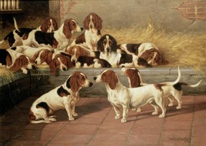 1894年，狗窝里的巴塞特猎犬