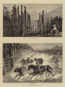 在Chilian Rodeo，III