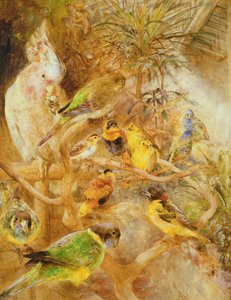 鸟类鸟舍，1871年