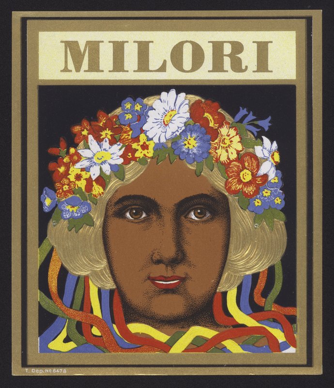 MILOR 作者 美国学校
