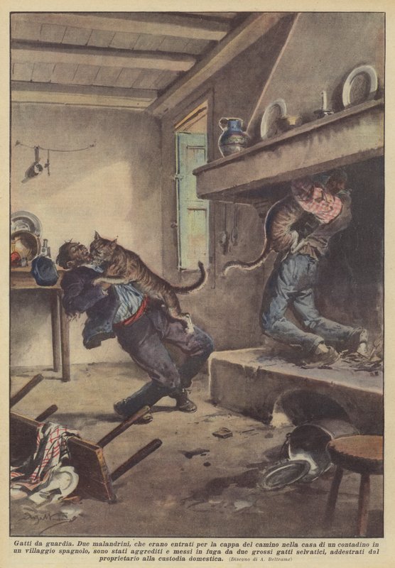 护卫猫 作者 阿基里·贝尔特拉姆（Achille Beltrame）