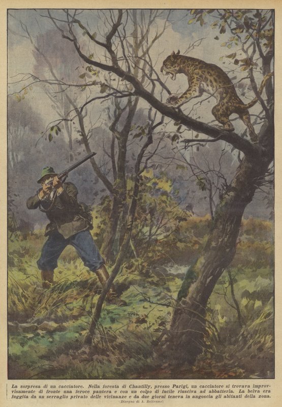 猎人的惊喜 作者 阿基里·贝尔特拉姆（Achille Beltrame）