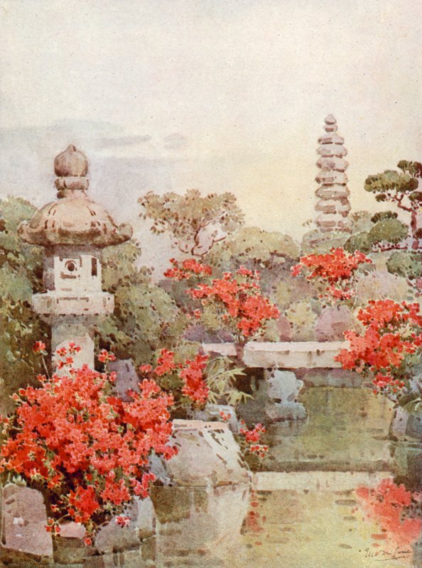京都杜鹃花（彩色平版印刷） 作者 艾拉·杜甘蔗