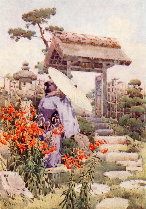 虎百合（彩色平版） 作者 艾拉·杜甘蔗