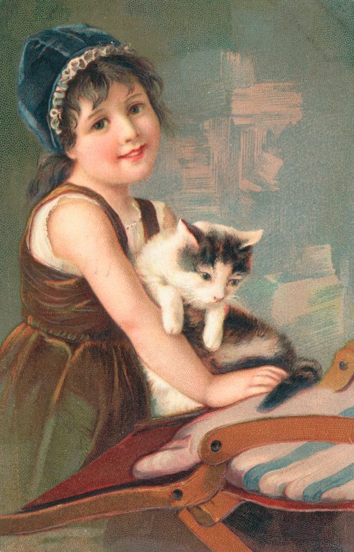 摆在与猫的一个女孩 作者 英语学校