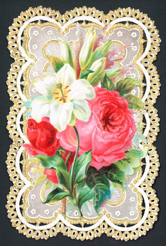 束鲜花，卡 作者 英语学校