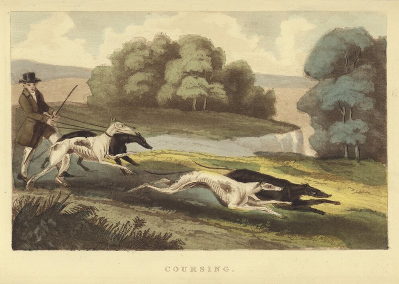 Coursing（彩色雕刻） 作者 英语学校