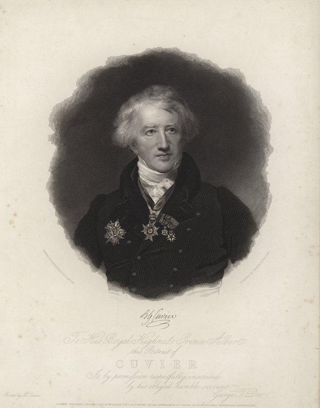 Georges Cuvier 作者 英语学校