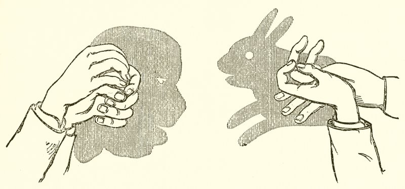 手影 作者 英语学校