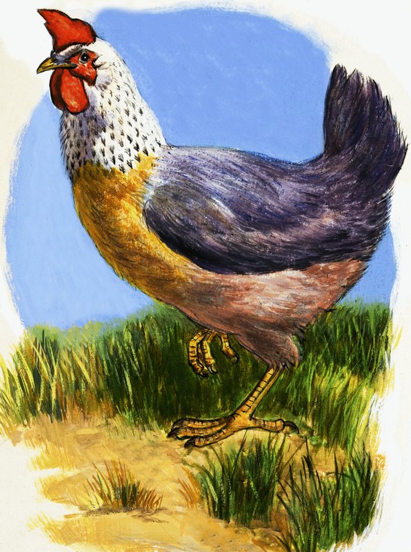Hen 作者 英语学校