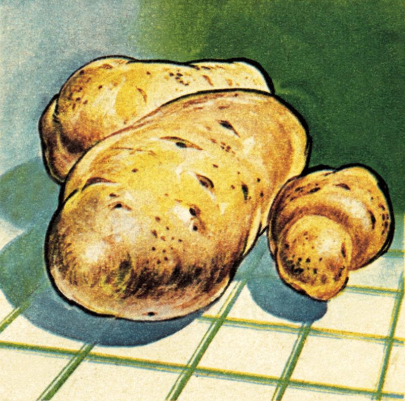 土豆 作者 英语学校