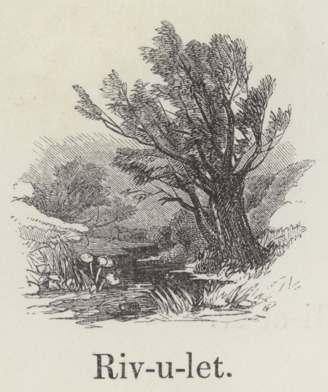 Rivulet（雕刻 作者 英语学校
