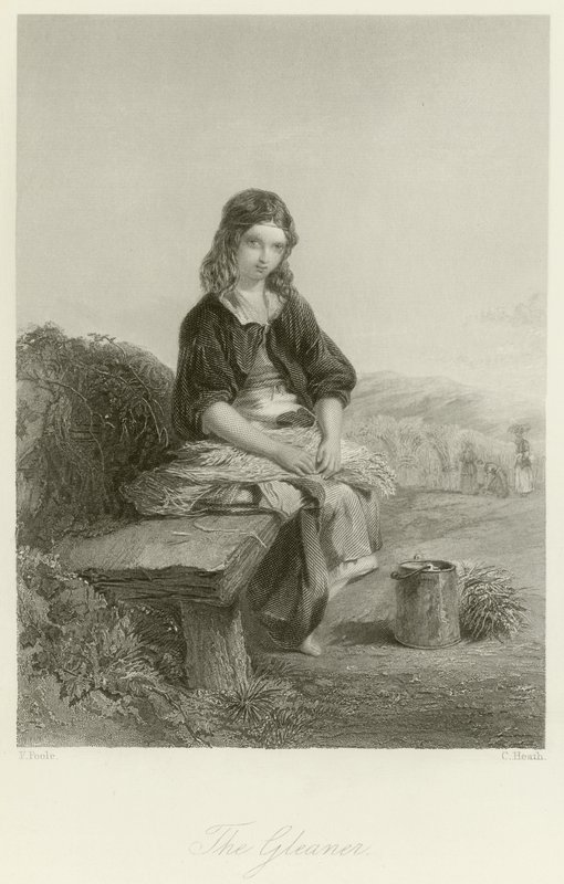 Gleaner 作者 英语学校