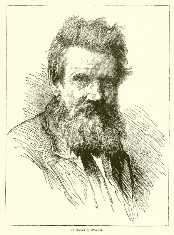 Thomas Edward 作者 英语学校