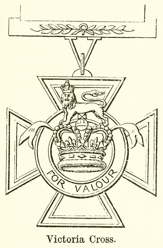 Victoria Cross 作者 英语学校