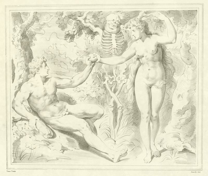 亚当和夏娃 作者 弗朗斯·弗洛里斯（Frans Floris）