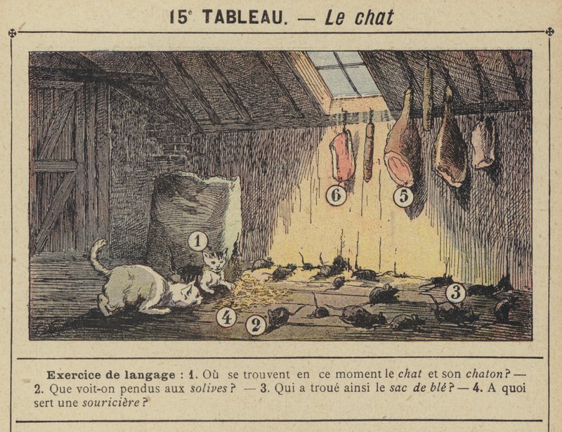 猫(彩色平版印刷) 作者 古斯塔夫·弗赖蓬（Gustave Fraipont）